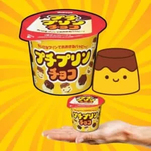  Archives kabaya petit pudding chocolate