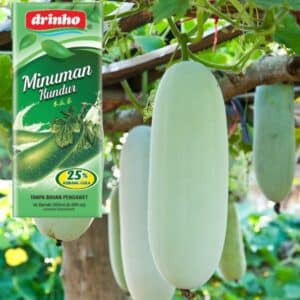 Archives Drinho Winter Melon Drink