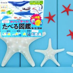  Archives Kracie Popin Cookin Sea Creatures DIY Candy Kit (Japan Version)