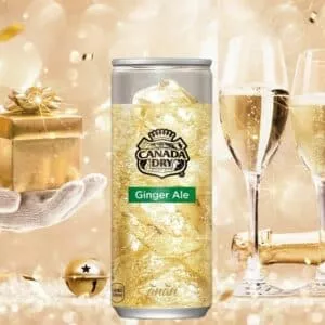  Archives Coca-Cola Canada Dry (Ginger Ale)