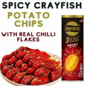  Archives Lay's Potato Chip Tube (Spicy Crayfish with Chilli Flakes)