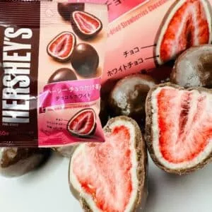  Archives Japan Hershey's Freeze-Dried Strawberries Chocolate