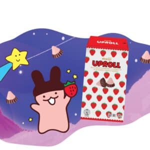  Archives Meiji Apollo Chocolate