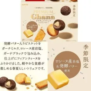  Archives Lotte Premium Ghana Truffle - Salty Butter