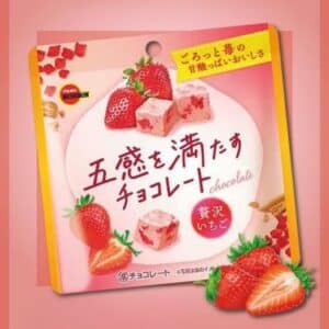 Archives Bourbon Luxury Strawberry Chocolate